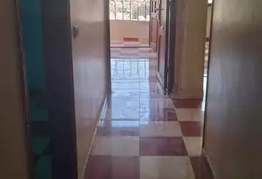 Apartments For rent - 3 rooms - floor 8