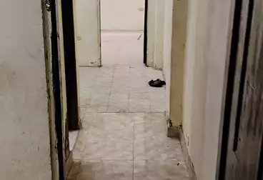 شقق للإيجار - 3 غرف - بالدور 4