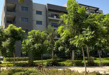 undefined undefined - 3 rooms - floor 3