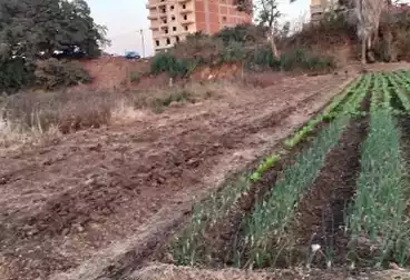 أرض مباني سكنية للبيع