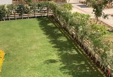 شقق مفروشة للإيجار - 2 غرف - بالدور 1