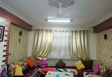 شقق للإيجار - 3 غرف - بالدور 9