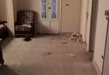 undefined undefined - 2 غرف - بالدور 2