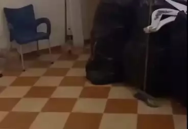 Apartments For rent - 2 rooms - floor 5