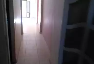 شقق للإيجار - 2 غرف - بالدور 7