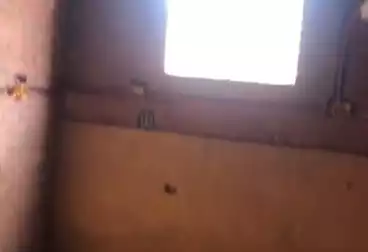 عقارات للبيع - 3 غرف - بالدور 4