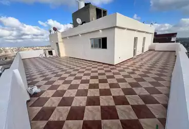 روف للبيع - 4 غرف - بالدور 16