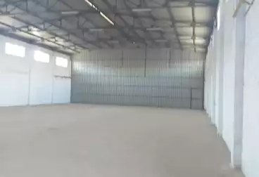 عقارات للإيجار