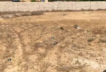 أراضي للبيع