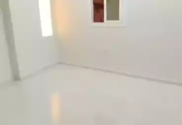 undefined undefined - 3 غرف - بالدور 1