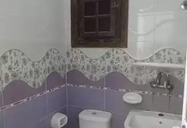 شقق للبيع - 2 غرف - بالدور 0