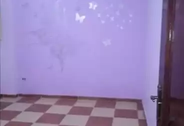 شقق للبيع - 2 غرف - بالدور 11