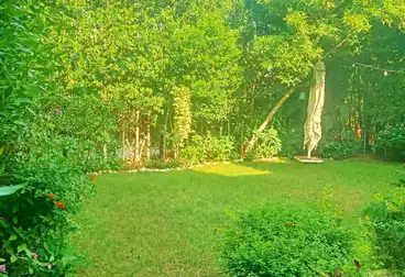 Villas For rent - 5 rooms