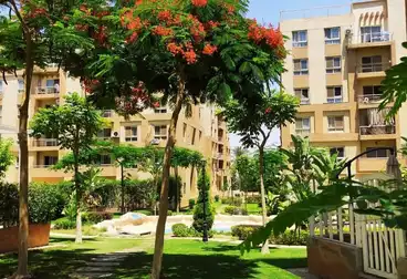 شقق للبيع - 2 غرف - بالدور 4