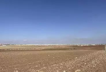 أراضي للبيع