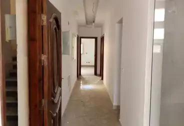 شقق للإيجار - 3 غرف - بالدور 1