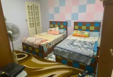 شقق مفروشة للإيجار - 2 غرف - بالدور 2