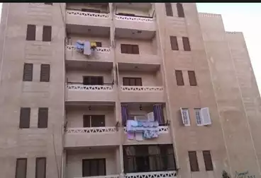 شقق للبيع - 2 غرف - بالدور 0