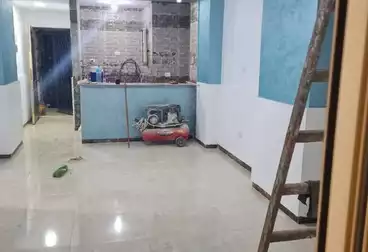 شقق للبيع - 2 غرف - بالدور 1