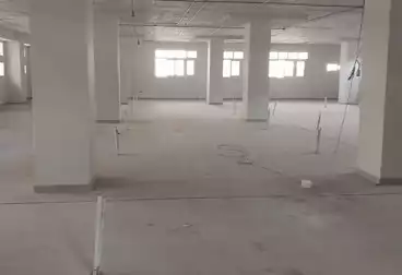 Properties For rent - 9 rooms