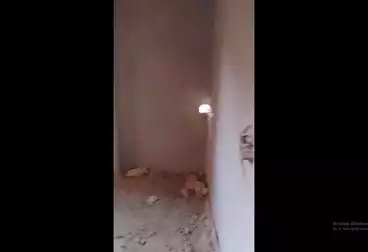 Apartments For sale - 3 rooms - floor 1