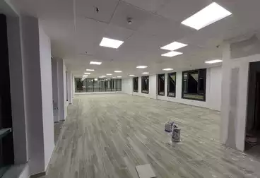 عقارات للإيجار - بالدور 1