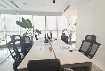 عقارات للإيجار - 4 غرف - بالدور 6