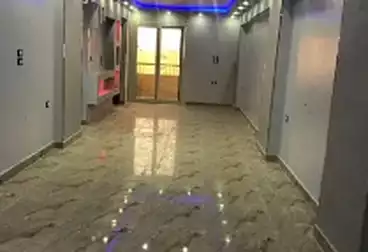 عقارات للإيجار - 3 غرف - بالدور 11