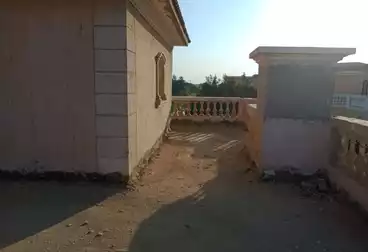 فلل للبيع - 3 غرف