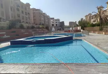 شقق للبيع - 2 غرف - بالدور 1