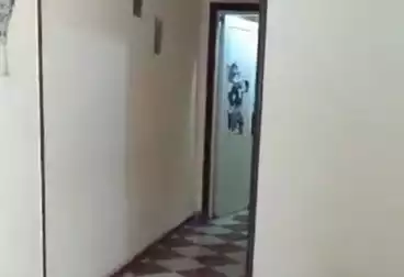 عقارات للإيجار - 2 غرف - بالدور 5