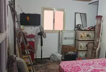 شقق للبيع - 3 غرف - بالدور 11