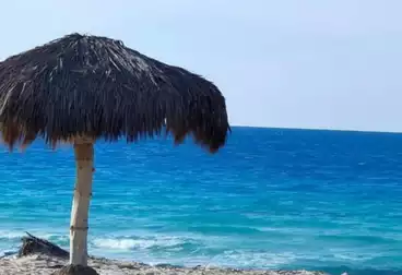 شاليهات للبيع - 1 غرف - بالدور 1