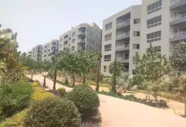 شقق للبيع - 3 غرف - بالدور 2