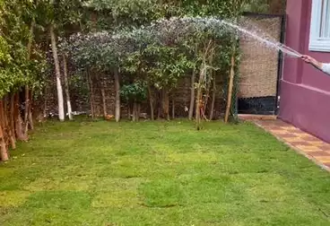 شقق للبيع - 2 غرف - بالدور 1