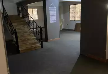 شقق للإيجار - 4 غرف - بالدور 1