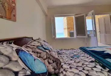 شقق مفروشة للإيجار - 3 غرف - بالدور 0