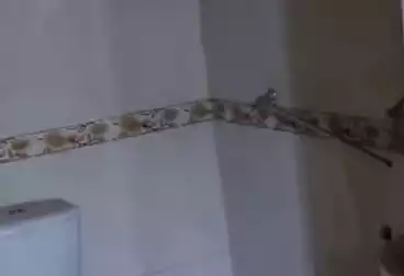 undefined undefined - 2 rooms - floor 3