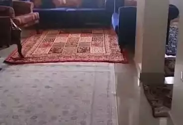 Apartments For sale - 2 rooms - floor 11