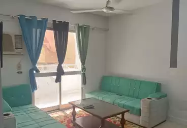 عقارات للإيجار - 2 غرف - بالدور 6