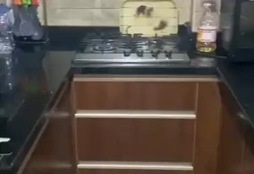 Apartments For sale - 2 rooms - floor 2