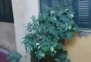 Properties For sale - 2 rooms - floor 0