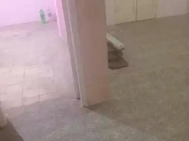 Apartments For rent - 2 rooms - floor 6