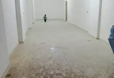 عقارات للإيجار - بالدور 0