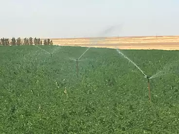 Farm For sale