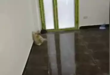 شقق للبيع - 3 غرف - بالدور 2