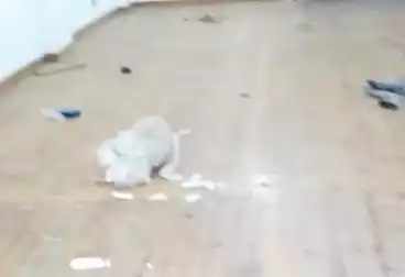 شقق للبيع - 3 غرف - بالدور 2