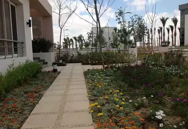 عقارات للبيع - 6 غرف