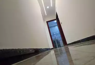 Properties For rent - 3 rooms - floor 7