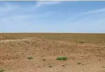 أراضي للبيع